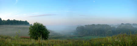 Beautiful summer hazy landscape with foggy hollow and green hills before the sunrise.Morning calm.の写真素材