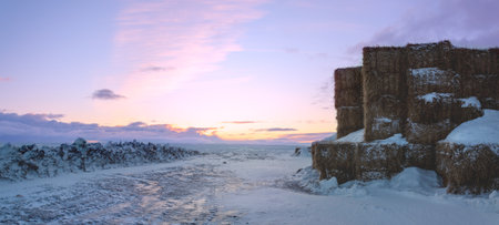 Winter frosty landscape with haystacks in farm field at sunrise
