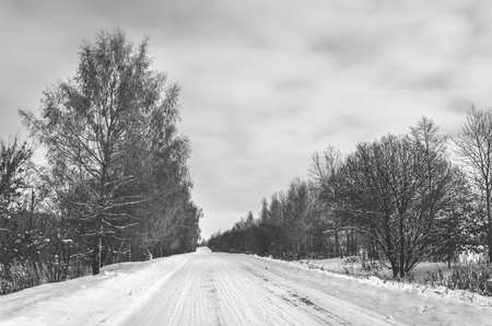 Black and white winter rural landscape with snow covered trees and country road during frosty morningの写真素材