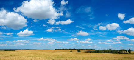 Summer rural landscape with beautiful blue sky over the golden farm fields.