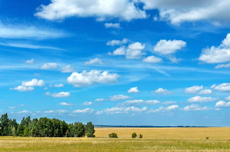 Summer rural landscape with beautiful blue sky over the golden farm fields.の写真素材