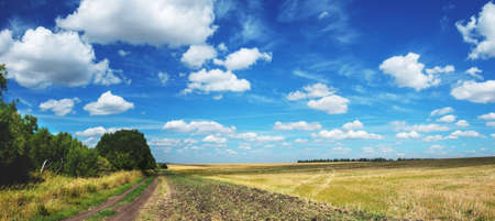 Summer rural panoramic landscape with blue sky with beautiful clouds over the tree lined country dirt road and plowed farm fieldの写真素材