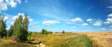 Bright summer rural russian landscape with country road and golden wheat fieldsの写真素材