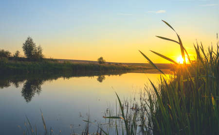 Serene summer landscape with calm river and setting sun during august evening.の写真素材