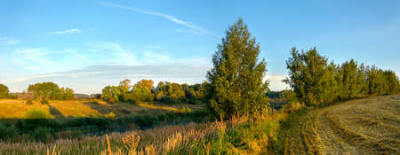 Serene summer rural landscape with green trees and farm field at sunrise.の写真素材