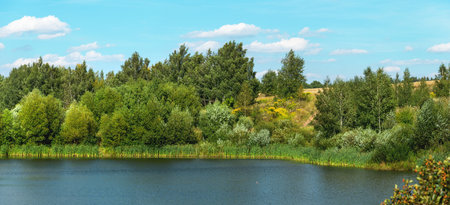 Sunny bright landscape with small river and green trees.Beautiful summer nature scene.の写真素材