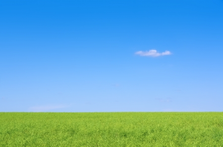 under blue skies stretched the field with green grassの写真素材