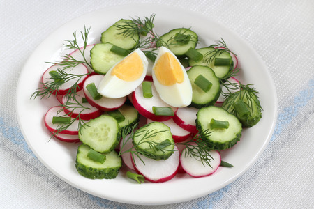 Salad with radish, cucumber, eggs, chives and dillの写真素材