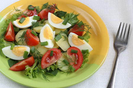 Vegetable saladの写真素材