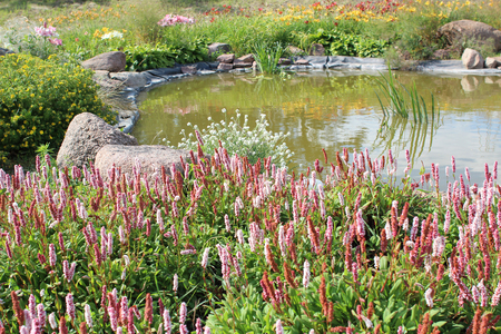 Pond and flower bed in the gardenの写真素材