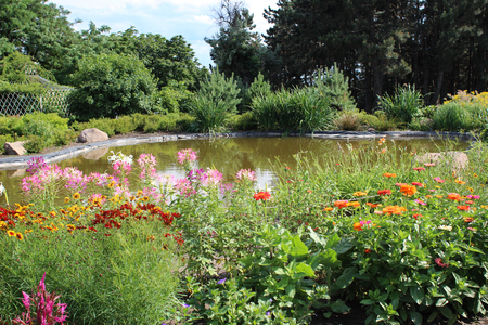 Pond and flower bed in the gardenの写真素材