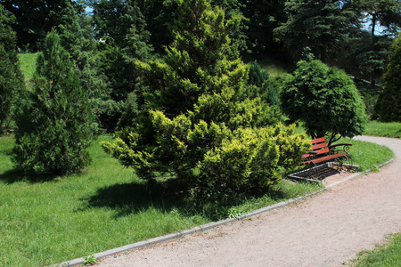 Place to rest with bench  in  gardenの写真素材