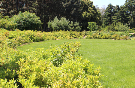 Beautiful  round lawn in  summer gardenの写真素材
