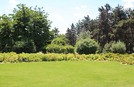 Beautiful  round lawn in  summer gardenの写真素材