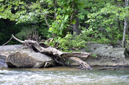 Log on rocks across riverの写真素材
