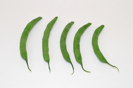 Green Beansの写真素材