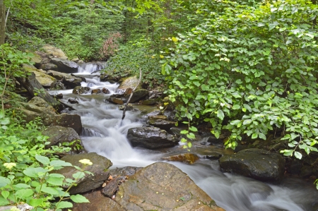 Small riverの写真素材