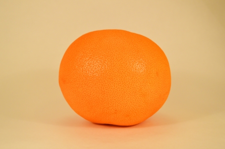 Grapefruitの写真素材