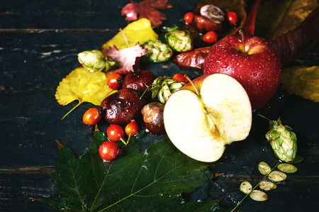 autumn still life with Apple on a dark backgroundの写真素材