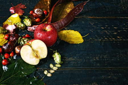 autumn still life with Apple on a dark backgroundの写真素材