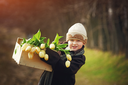 The boy holds a box spring with tulipsの写真素材