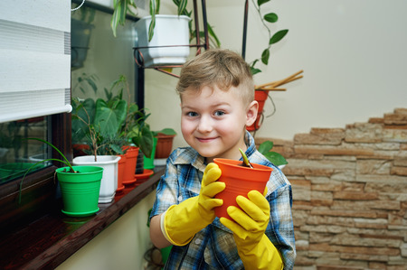 the boy takes care of flowers at home on the balconyの写真素材