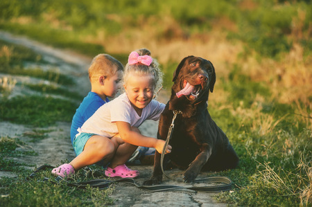 Two children walking with a dog breed Labradorの写真素材