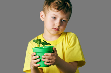 the boy planting the seedlings. Fun little gardener.の写真素材