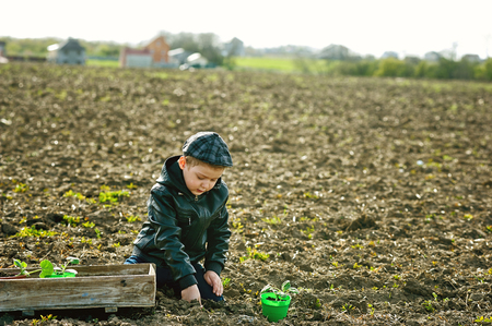 The boy in the field to plant . The child is helping parents in agricultureの写真素材
