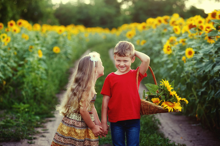 Two children walk and play near the field with sunflowers . Walk of friends in the countrysideの写真素材