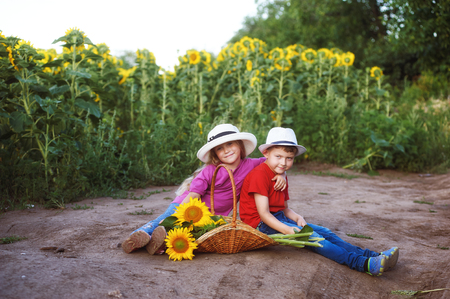 Two children walk and play near the field with sunflowers . Walk of friends in the countrysideの写真素材