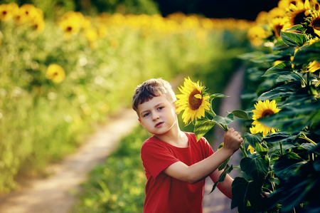 cheerful child playing in a field of sunflowersの写真素材