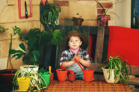 Little girl caring for houseplants .の写真素材