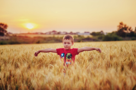 A boy playing in a field of wheat at sunsetの写真素材