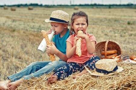 Cheerful children on a summer picnic in the field . Beautiful brother and sister on summer vacation .の写真素材