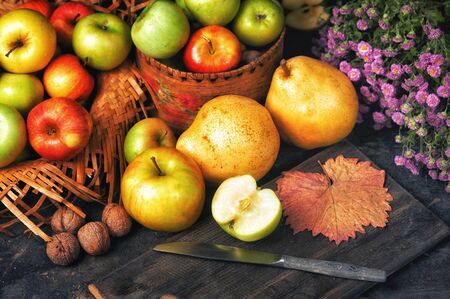 Ripe green and red apples on a wooden table. Still life of autumn fruitsの写真素材