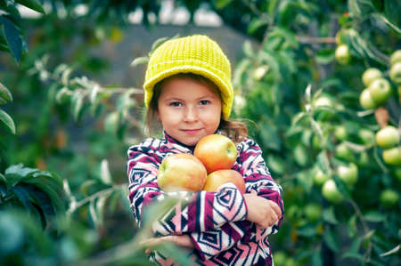 Portrait of a little girl with apples in the autumn gardenの写真素材
