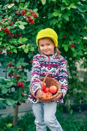 Portrait of a little girl with apples in the autumn gardenの写真素材