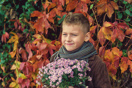 Portrait of a beautiful little boy with chrysanthemumsの写真素材