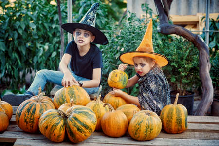 Funny children in festive outfits with a pumpkin for Halloweenの写真素材