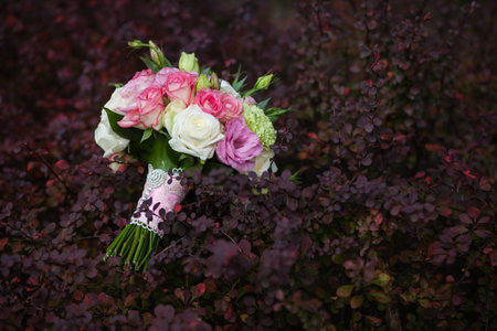 bridal bouquet lying on the bushの写真素材