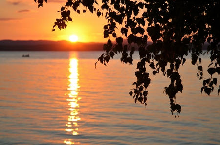 Silhouette, leaves of tree over the lake sunset in blurred background.beautiful landscape. sunset Image selective focus at the leaves of tree.の写真素材