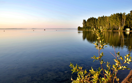 evening calm lake in the water reflected the forestの写真素材