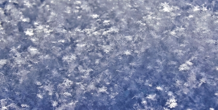 micro-texture of the snow, see individual snowflakes
