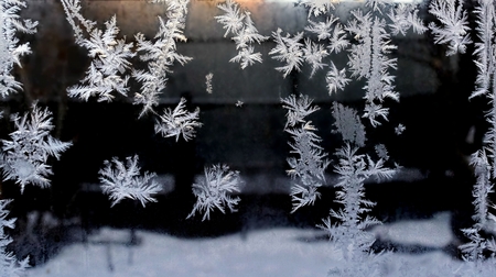 frost patterns on glassの写真素材