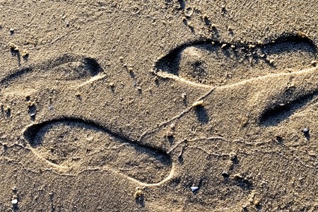 large human footprints in wet sand