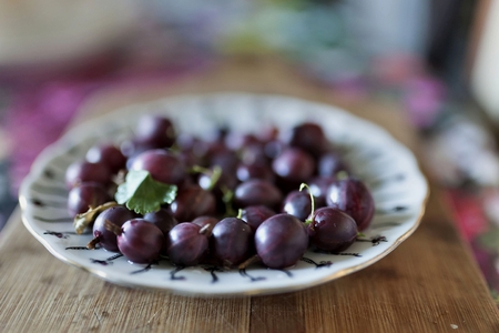 purple ripe gooseberry in a plate, soft focusの写真素材