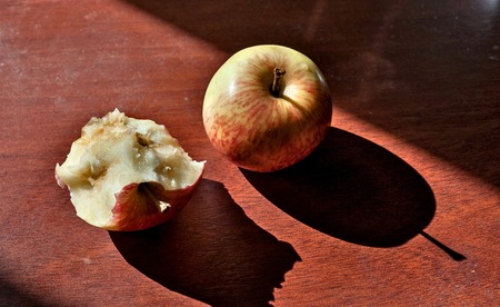 half eaten and whole apples lying on the table lit by the morning sunの写真素材