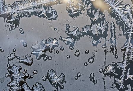 winter fairy forest, texture of frosty patterns winter background
