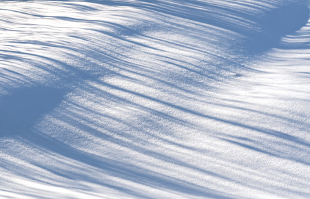 texture fresh snowdrift illuminated by the sun with blue wavy shadowsの写真素材